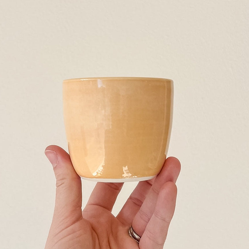 Piccolo Cups