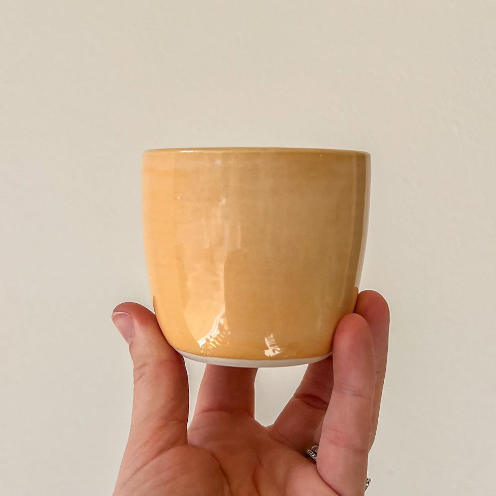 Piccolo Cups