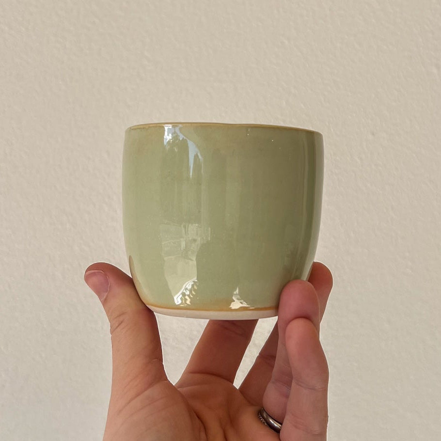 Piccolo Cups
